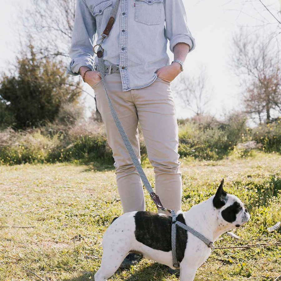 Ladran Gaucho Correa Dalton hecha a mano para perros, , large Imagen numero 3